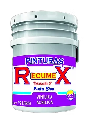 Vinílica Pinta Bien